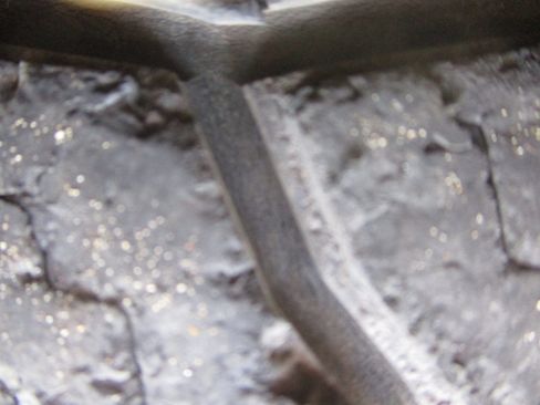 Used 2019 Ford Expedition Max Limited image 13