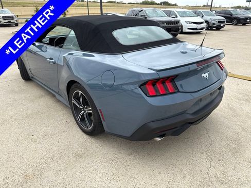 Used 2025 Ford Mustang Premium RWD image 6