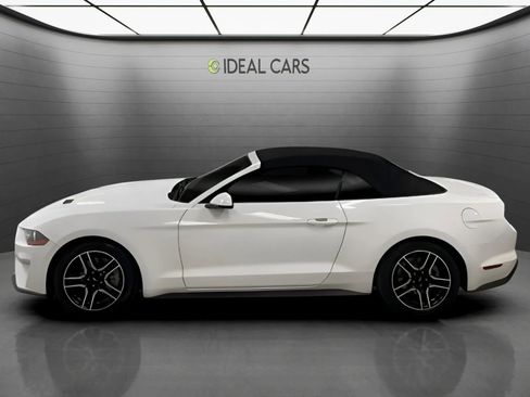 Used 2019 Ford Mustang Premium RWD image 8