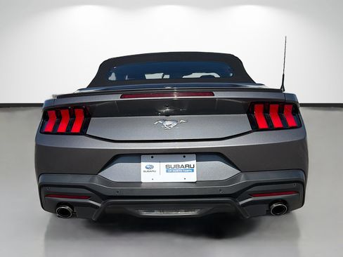 Used 2024 Ford Mustang Premium RWD image 4