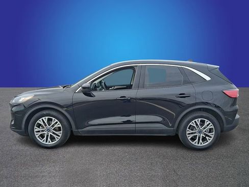 Used 2022 Ford Escape SEL image 7