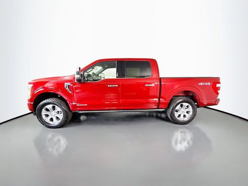 Used 2023 Ford F150 Platinum w/ Equipment Group 701A High AWD/4WD image 6