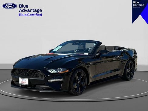 Used 2021 Ford Mustang Convertible w/ Equipment Group 101A image 1
