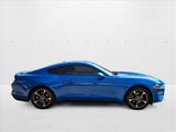 Used 2019 Ford Mustang Coupe w/ Equipment Group 101A image 4