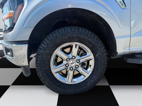 Used 2025 Ford F150 XLT w/ Equipment Group 301A Standard AWD/4WD image 14
