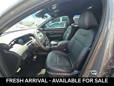 Used 2024 Hyundai Santa Cruz Night AWD/4WD image 8