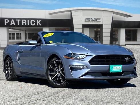 Used 2022 Ford Mustang Premium w/ Equipment Group 201A image 1
