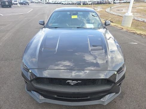 Used 2023 Ford Mustang Coupe w/ Equipment Group 101A image 2