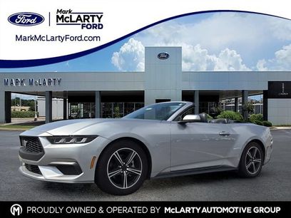 Used 2024 Ford Mustang Premium