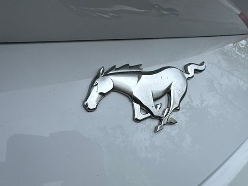 Used 2024 Ford Mustang Premium RWD image 22