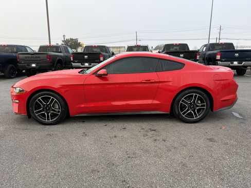 Used 2019 Ford Mustang Premium image 10
