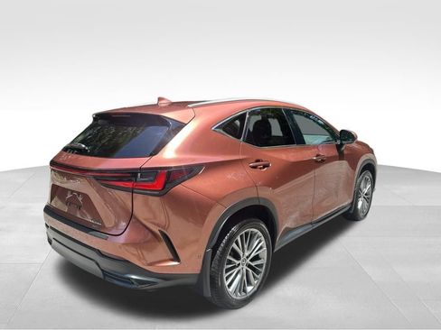 Used 2025 Lexus NX 350 AWD w/ Rear Seat Package image 5