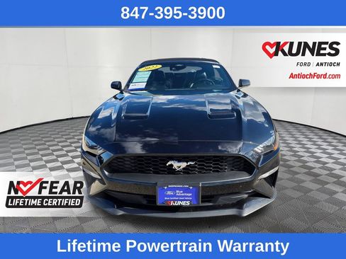 Certified 2022 Ford Mustang Premium image 10