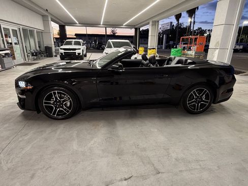 Used 2023 Ford Mustang Premium image 13