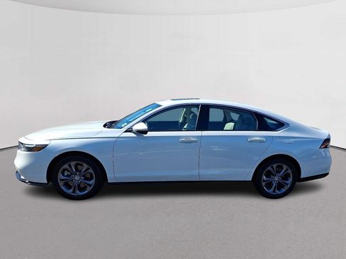 Certified 2023 Honda Accord EX-L image 6