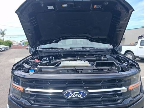 Used 2025 Ford F150 XLT w/ Equipment Group 301A Standard image 34