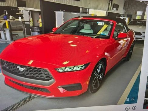 Used 2024 Ford Mustang Premium image 2