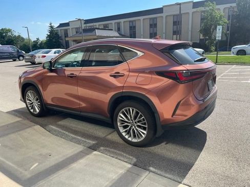 Used 2025 Lexus NX 350h AWD w/ Accessory Package (2T) image 3