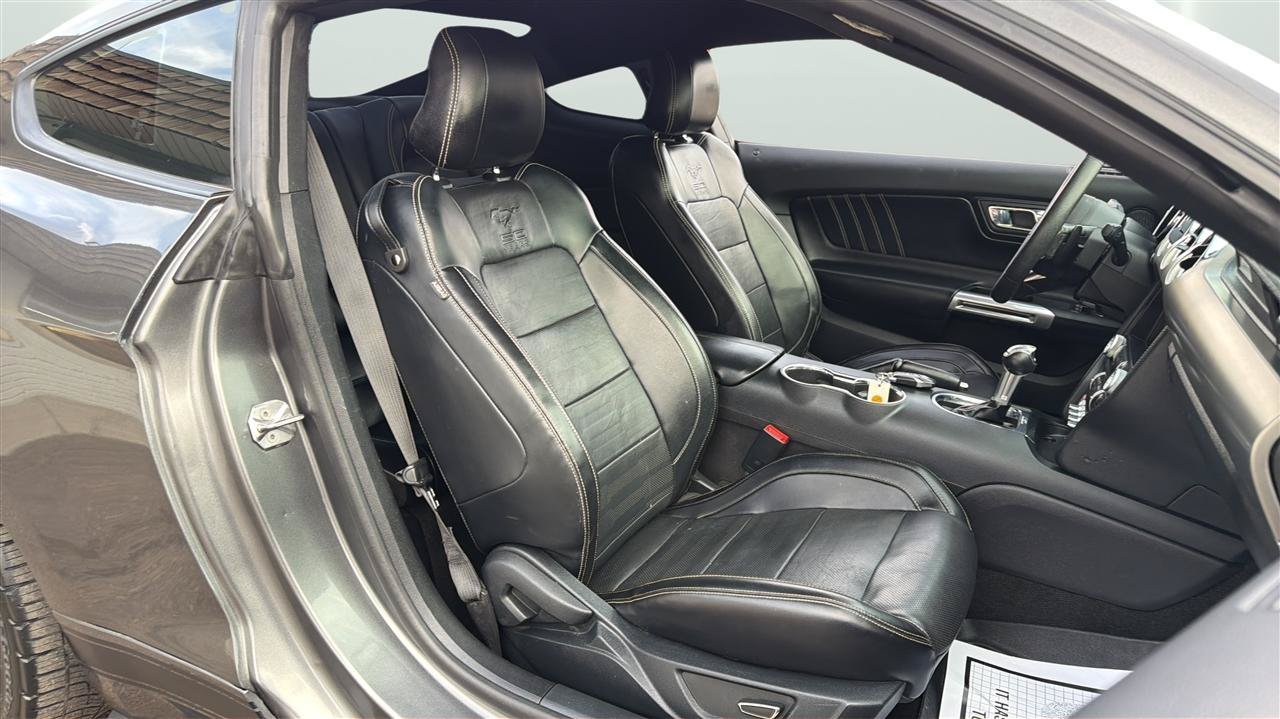 Used 2015 Ford Mustang GT Premium w/ Equipment Group 401A RWD image 15