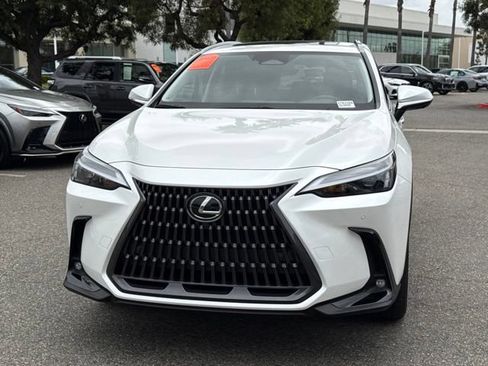 Used 2025 Lexus NX 350h AWD w/ Cold Area Package image 3