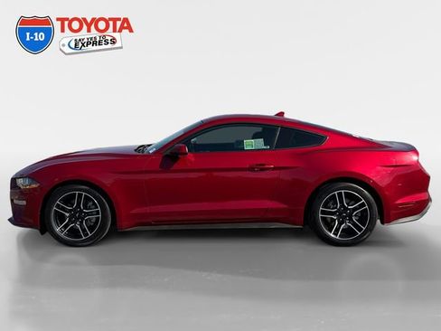 Used 2021 Ford Mustang Coupe w/ Equipment Group 101A image 2