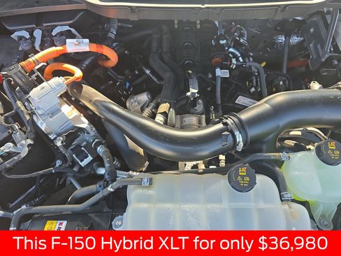 Used 2024 Ford F150 XLT w/ Mobile Office Package AWD/4WD image 36