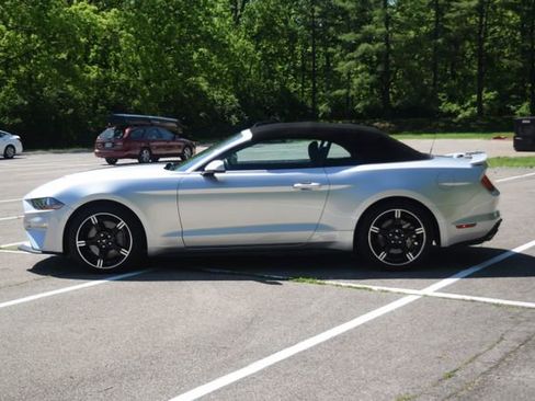 Used 2019 Ford Mustang GT Premium w/ California Special Package RWD image 19