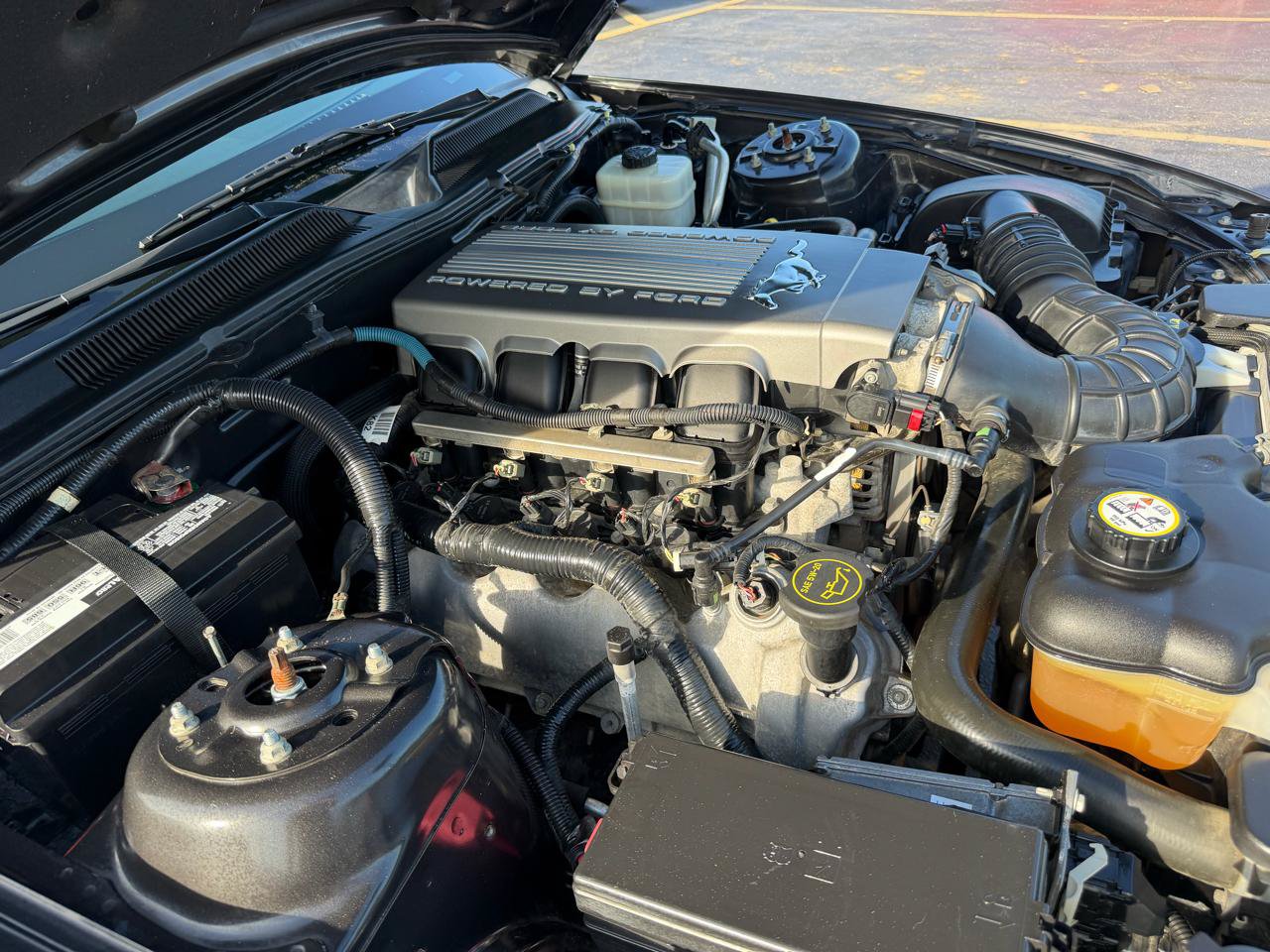 Used 2007 Ford Mustang GT RWD image 40