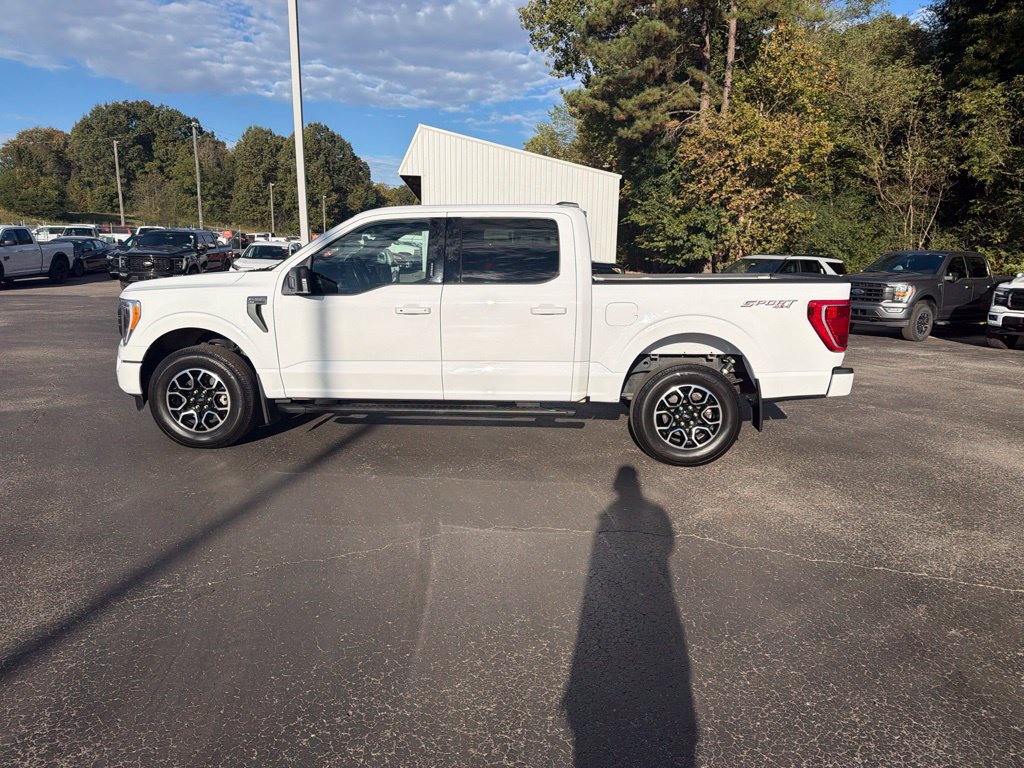 Used 2023 Ford F150 XLT w/ Equipment Group 302A High AWD/4WD image 6