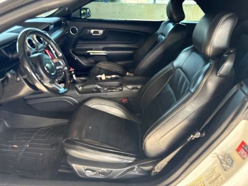 Used 2019 Ford Mustang GT Premium w/ Equipment Group 401A RWD image 2
