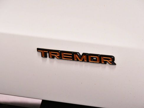 Used 2025 Ford Expedition Tremor AWD/4WD image 10