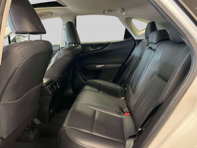 Certified 2024 Lexus NX 250 FWD w/ Cold Area Package image 15