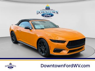 New 2026 Ford Mustang Premium RWD video 1