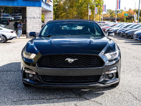 Used 2017 Ford Mustang Premium image 2