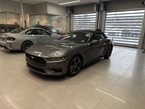 Certified 2025 Ford Mustang Premium RWD image 1