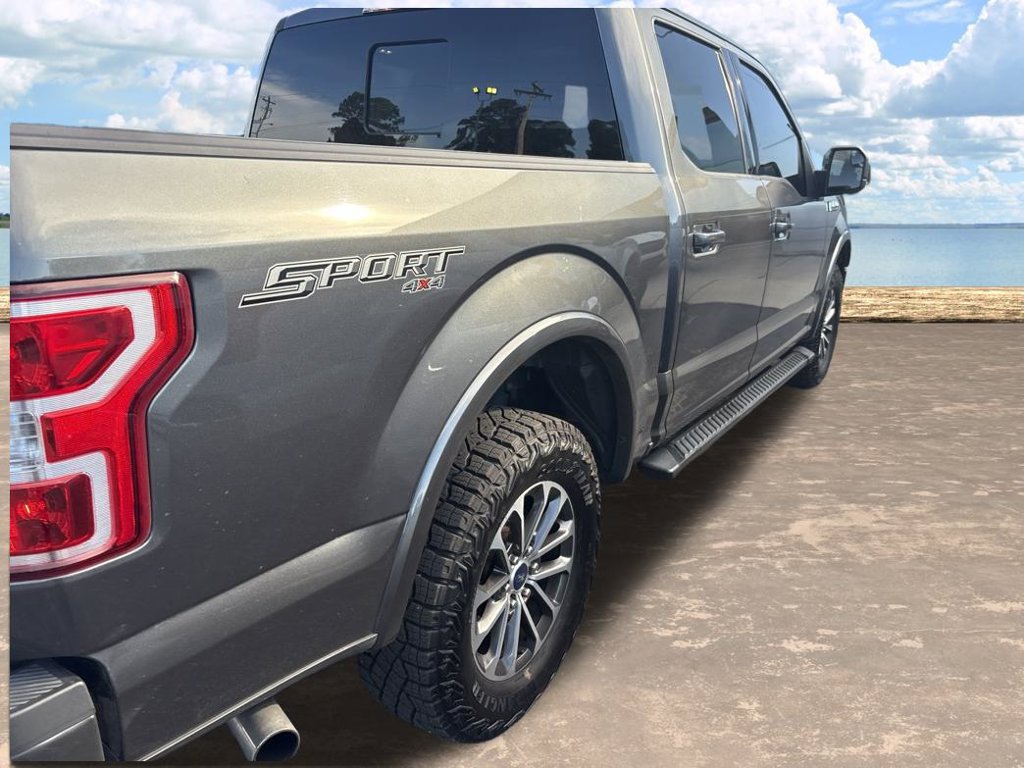 Used 2019 Ford F150 XLT w/ Equipment Group 302A Luxury AWD/4WD image 4
