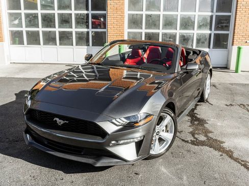 Used 2019 Ford Mustang Premium w/ Equipment Group 201A image 2