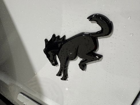 New 2025 Ford Bronco Big Bend image 27