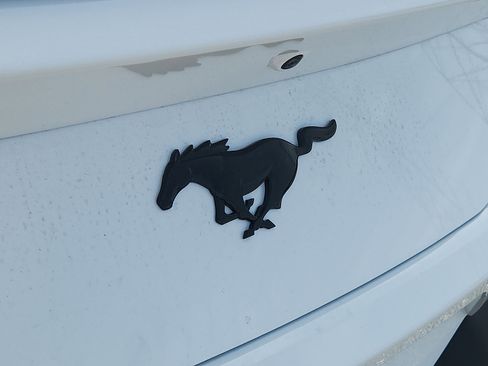 New 2025 Ford Mustang Coupe image 17