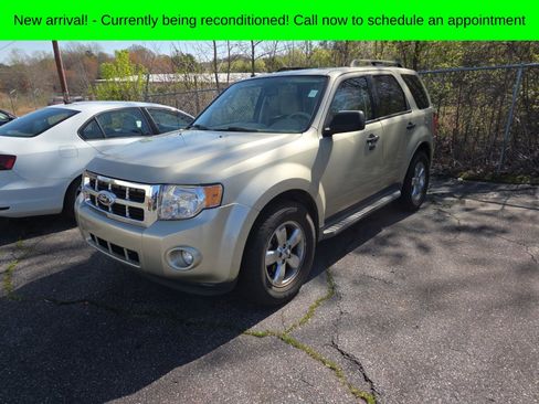 Used 2011 Ford Escape XLT w/ 201A Rapid Spec Order Code image 2