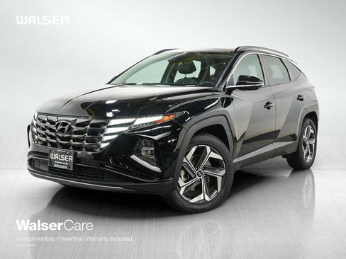 Used 2024 Hyundai Tucson Limited AWD/4WD image 1
