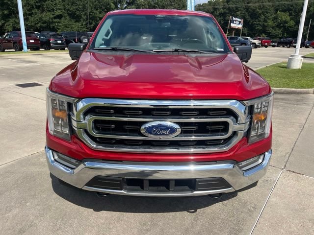 Used 2022 Ford F150 XLT w/ Equipment Group 302A High AWD/4WD image 9
