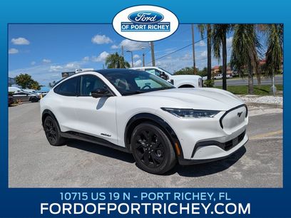 Used 2023 Ford Mustang Mach-E Premium w/ Mustang Nite Pony Package