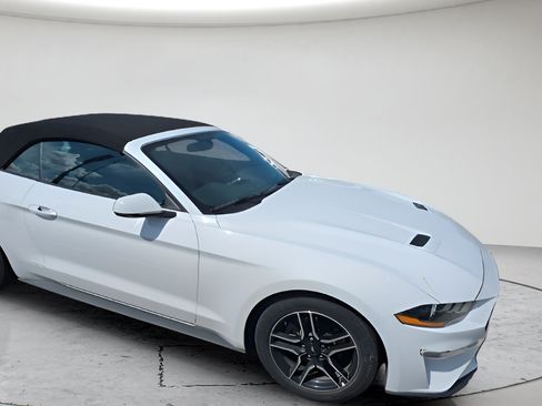 Used 2018 Ford Mustang Premium RWD image 1