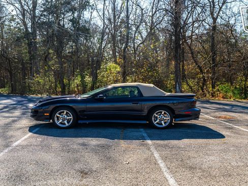 Used 2000 Pontiac Firebird Trans Am image 15