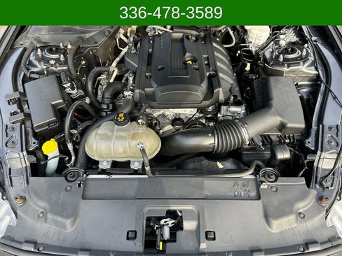 Used 2019 Ford Mustang Coupe w/ Equipment Group 101A image 20