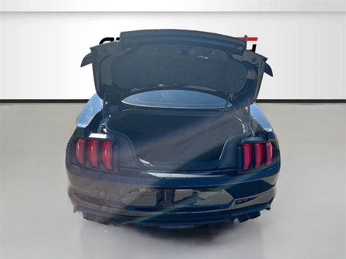 Used 2019 Ford Mustang GT Premium w/ Equipment Group 401A image 25