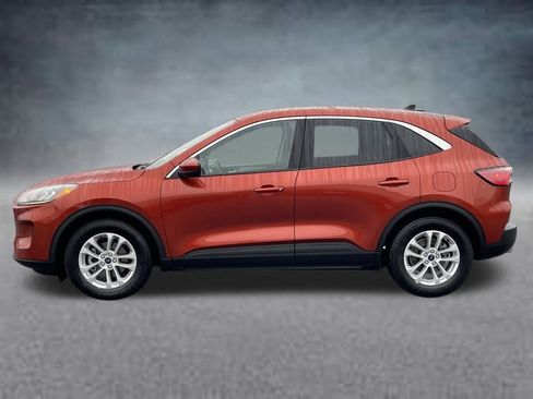 Used 2020 Ford Escape SE image 2