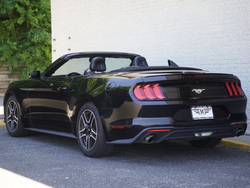 Used 2023 Ford Mustang Premium w/ Equipment Group 201A RWD image 8