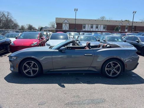 Used 2024 Ford Mustang Premium RWD image 11